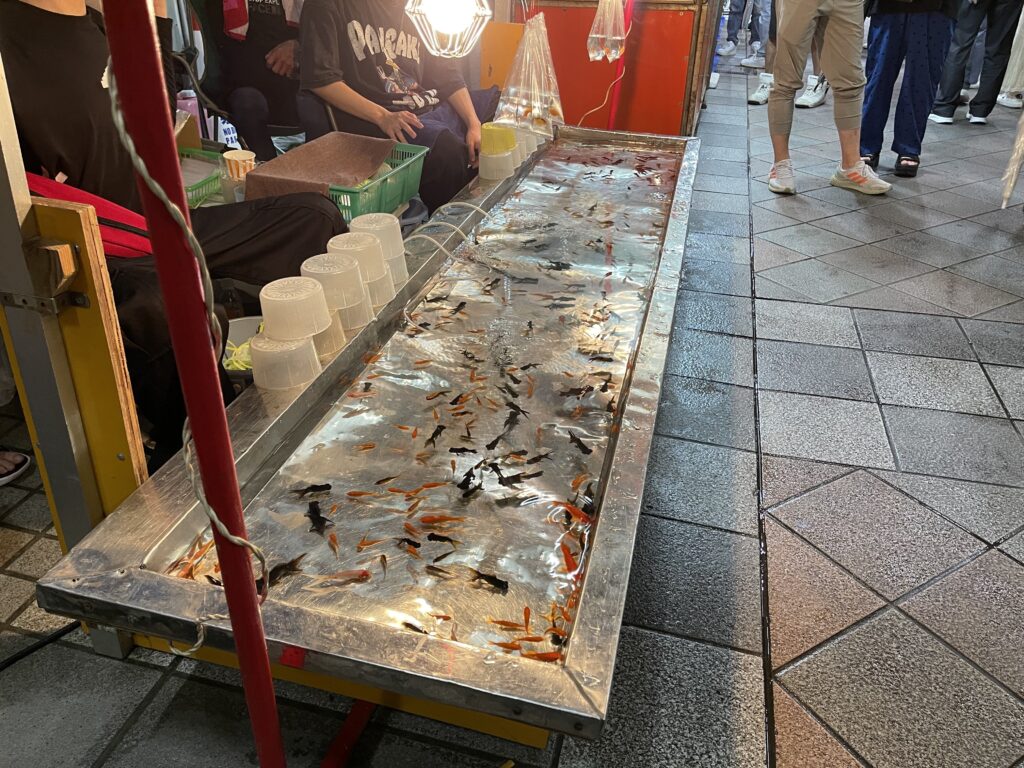 金魚すくいをやっと見つけた